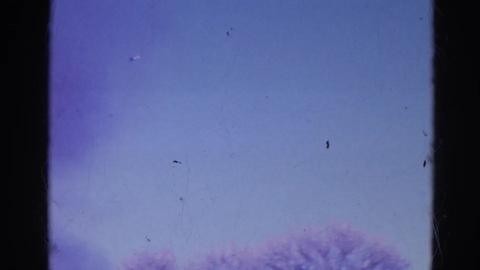 1968 8mm frame from Wauconda showing a blue sky over soft treetop silhouettes with visible dust and dark frame edges.
