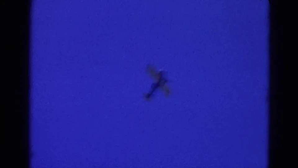 A blurred small plane remains visible against the blue night sky, preserving the handheld 8mm feel of the Wauconda fire sequence.