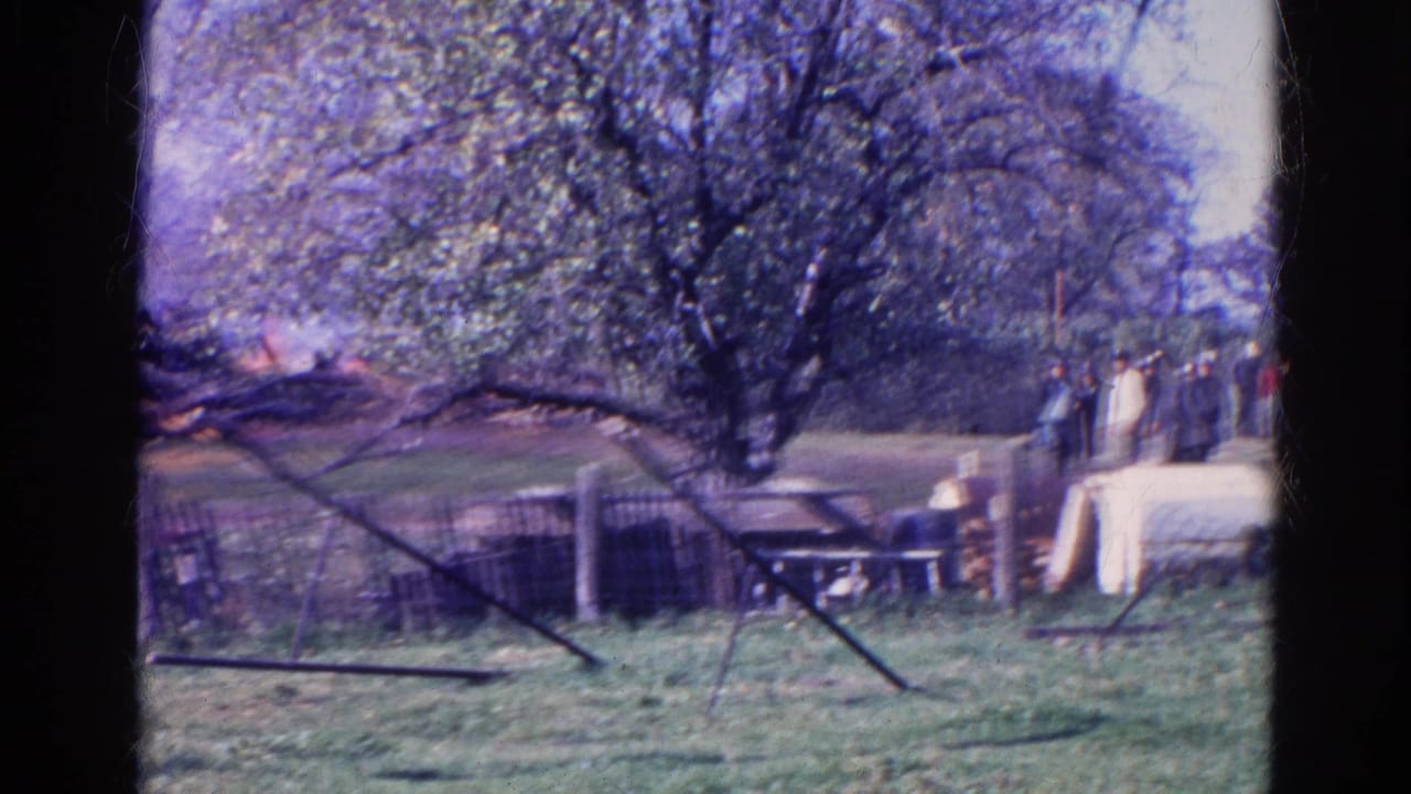 People gathered in a grassy yard near fencing, trees, and a light-colored structure.