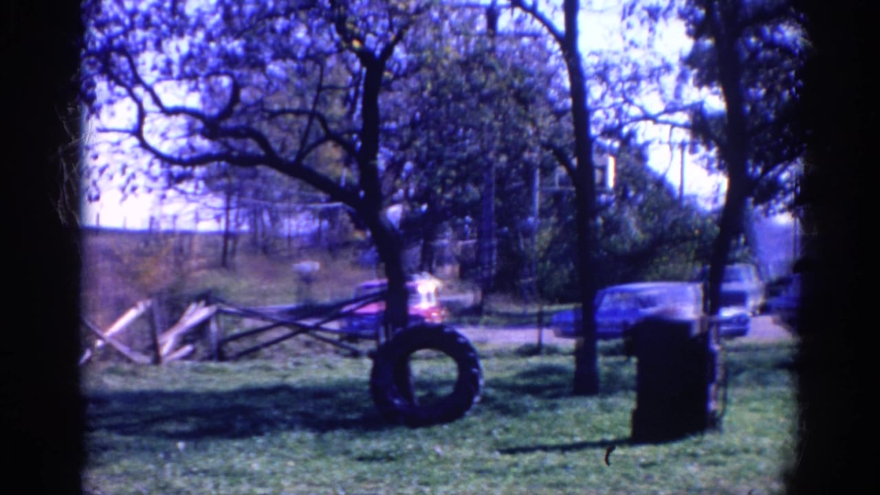 1968 Wauconda park view with trees, grass, a tire by a trunk, parked cars, and a white vehicle on the road beyond.