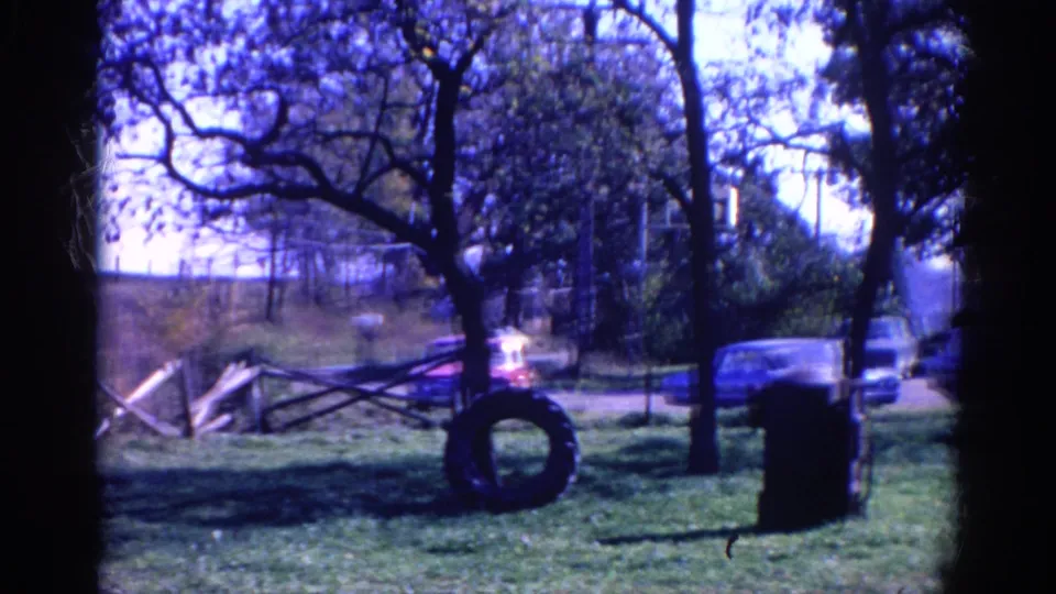 1968 Wauconda park view with trees, grass, a tire by a trunk, parked cars, and a white vehicle on the road beyond.