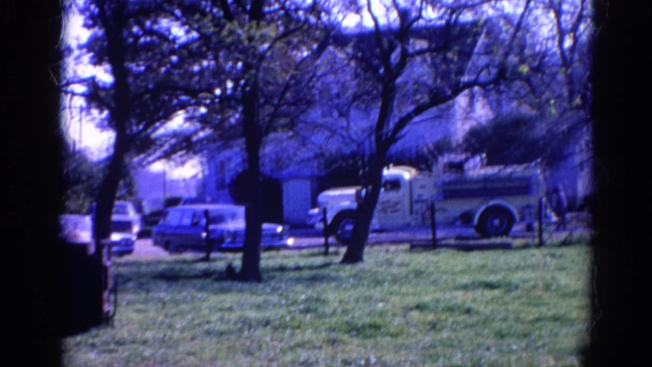 White fire truck and parked cars seen through trees beside a grassy area.