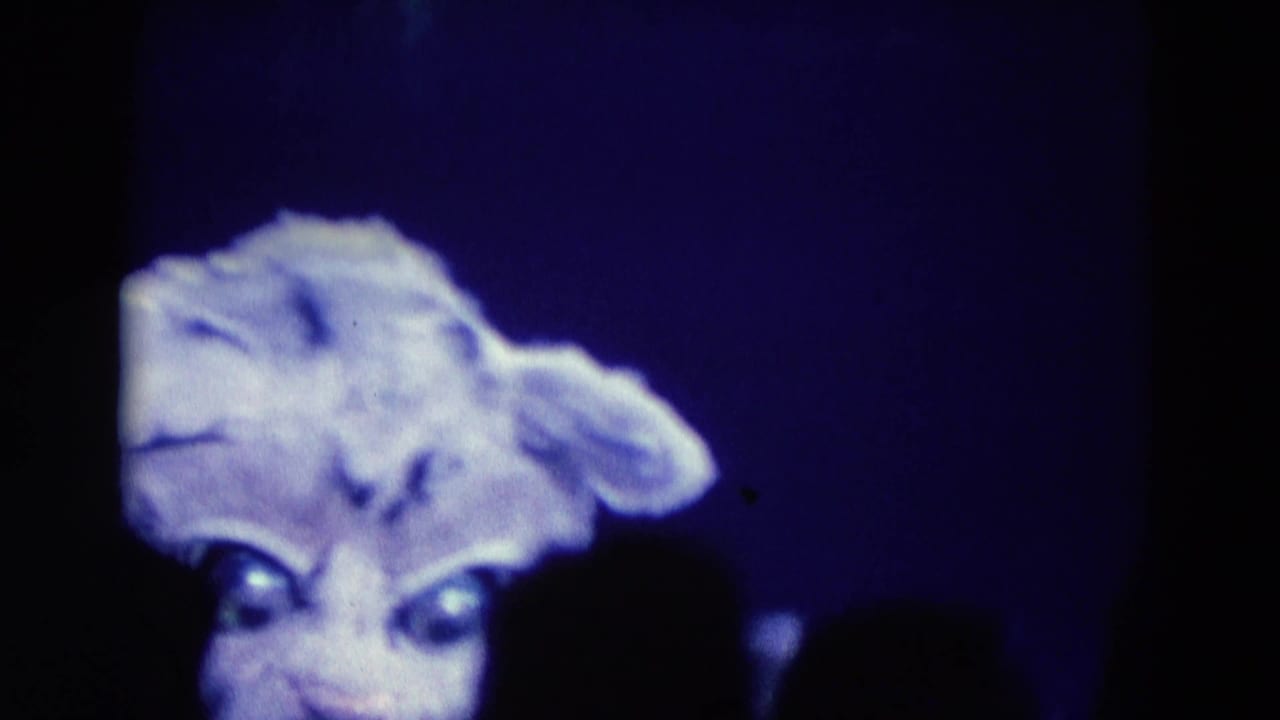 White tiger costume head under blue stage lighting with dark audience silhouettes below.