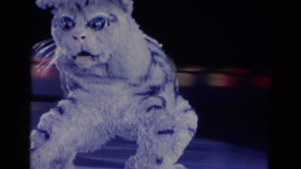 In 1969 Chicago home-movie footage, a performer in a large white striped animal costume faces the camera on a dark stage.