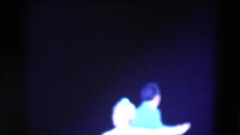 Two stage performers, seen from behind in soft focus, appear to move together during the routine.