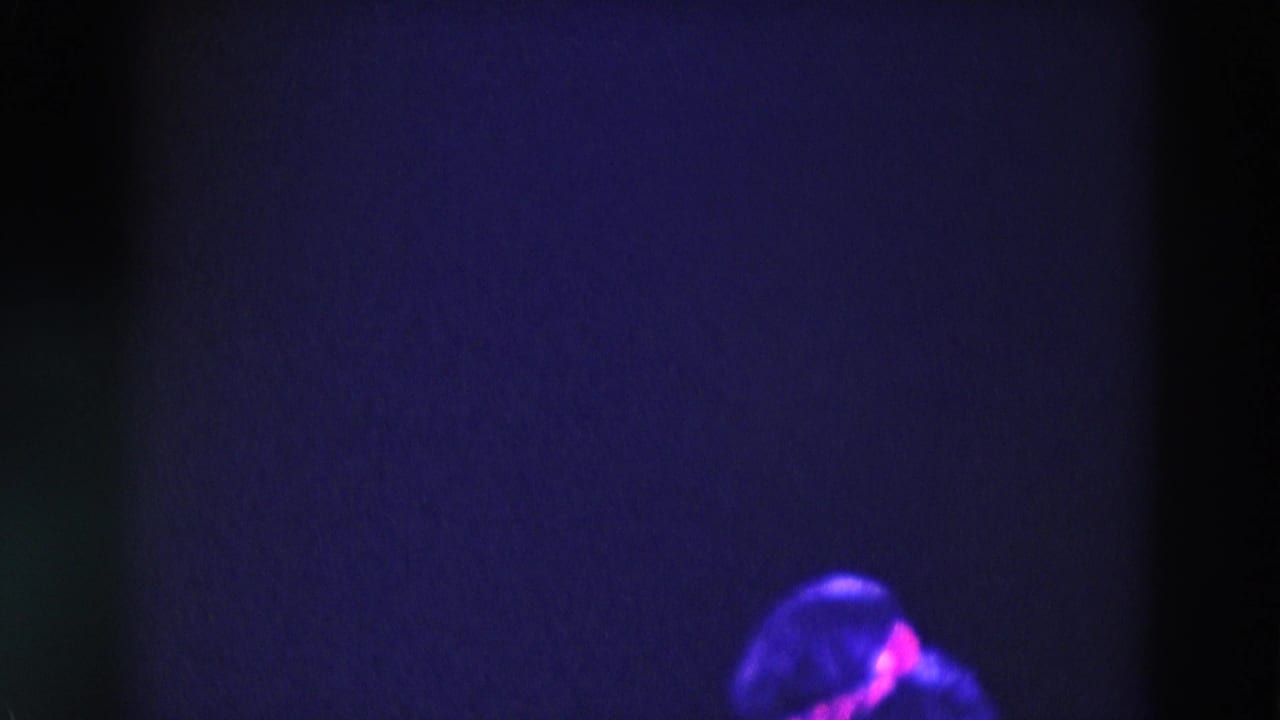 Soft, dark stage view with the top of a performer visible under purple lighting.