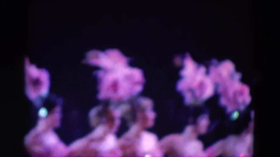 1969 Chicago stage frame with female dancers in feathered hats and pink costumes, filmed softly from the audience.