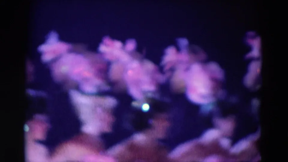Audience-shot 8mm view of pink-costumed dancers with feathered headpieces performing on a Chicago stage in 1969.