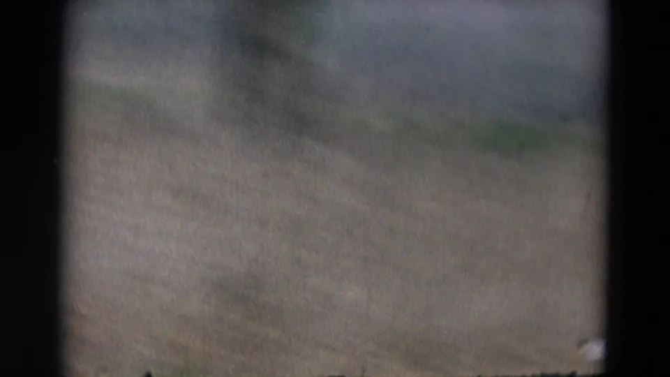 Handheld 8mm frame showing blurred pondside ground or vegetation with a small pale bird shape near the lower-right edge.