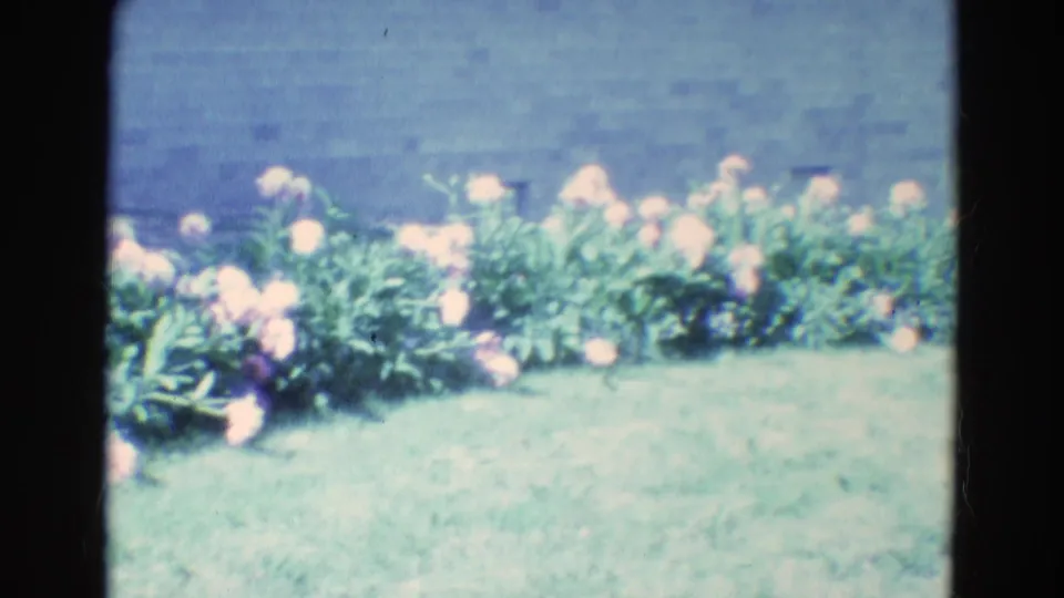 A 1969 Diller, Nebraska garden cutaway shows a row of blooming flowers along a lawn, rendered in soft blue-green 8mm color.