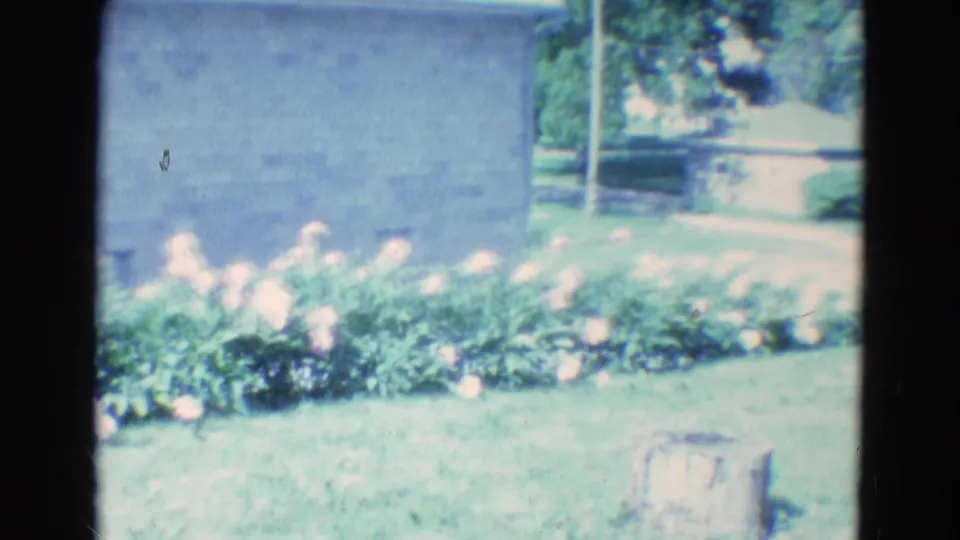 1969 Diller, Nebraska 8mm frame of a flower bed and lawn with trees, walkway, a pale outbuilding wall, and a stump in the foreground.