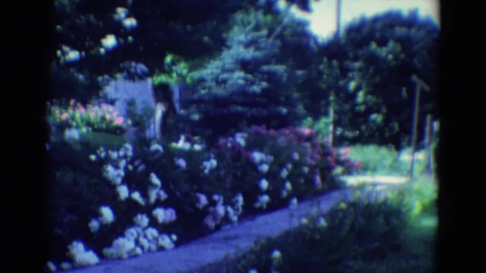 Diller, Nebraska garden view with dense white and pink flowers, a curving walk, shrubs, and mature trees on 8mm film.