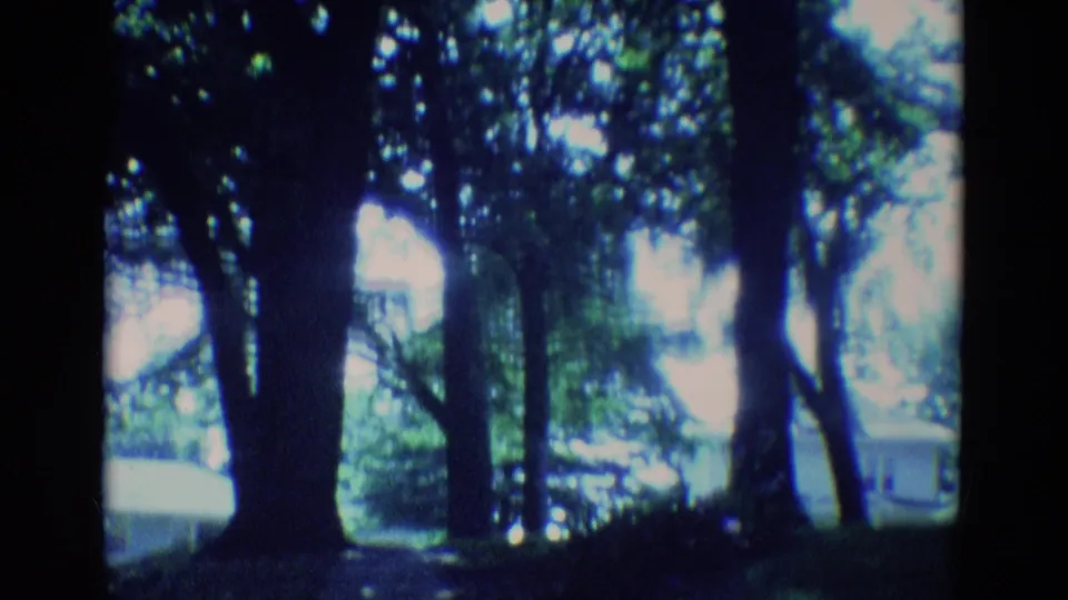 1969 Diller, Nebraska 8mm frame showing a tree cluster and sunlit greenery with a pale building glimpsed beyond.
