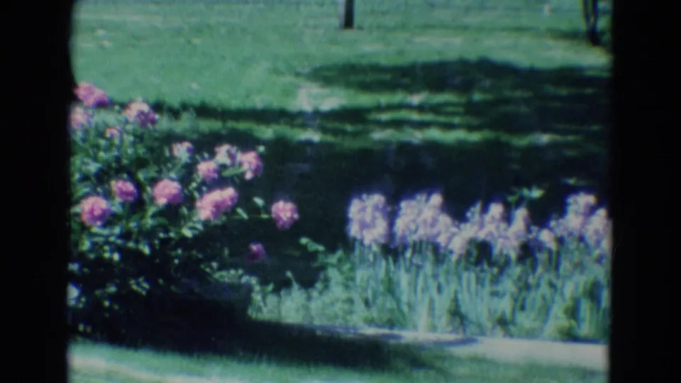Diller, Nebraska garden view from 1969 showing pink blossoms, purple flowers, and shaded lawn on 8mm film.