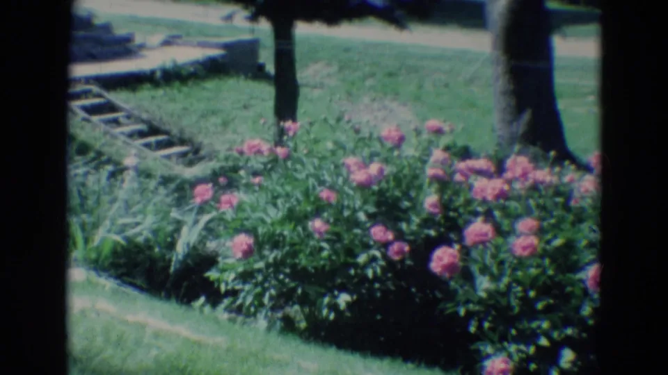 1969 Diller, Nebraska garden frame showing pink flowers, lawn, tree trunks, and a small outdoor staircase.