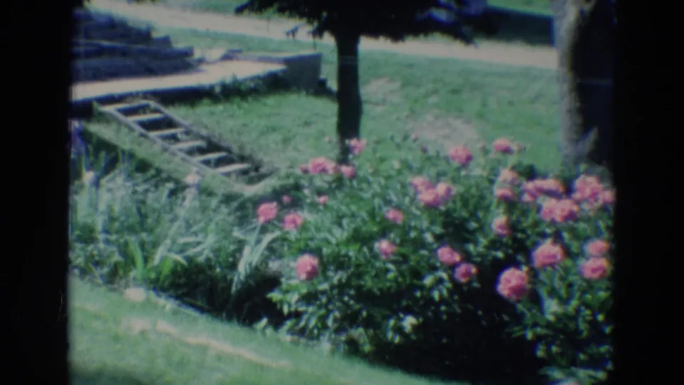 1969 Diller, Nebraska home-movie frame showing pink garden flowers, green lawn, steps, and a small wooden ladder near a house.