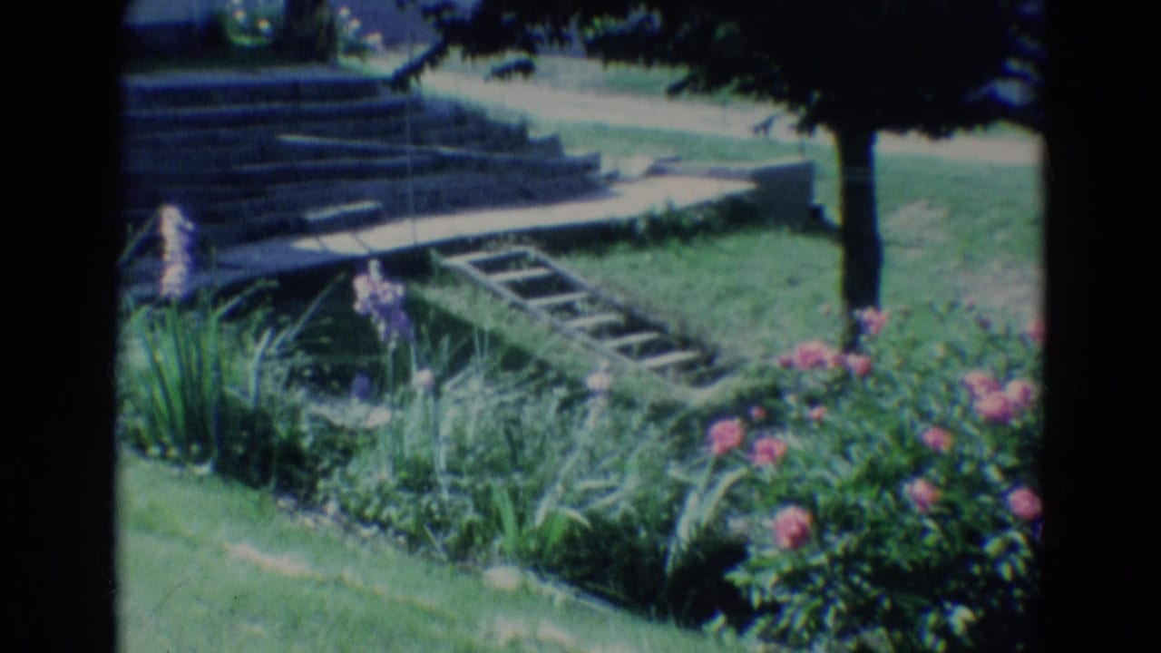 Garden bed with pink flowers, tall purple blooms, grass, steps, ladder, and tree shade.