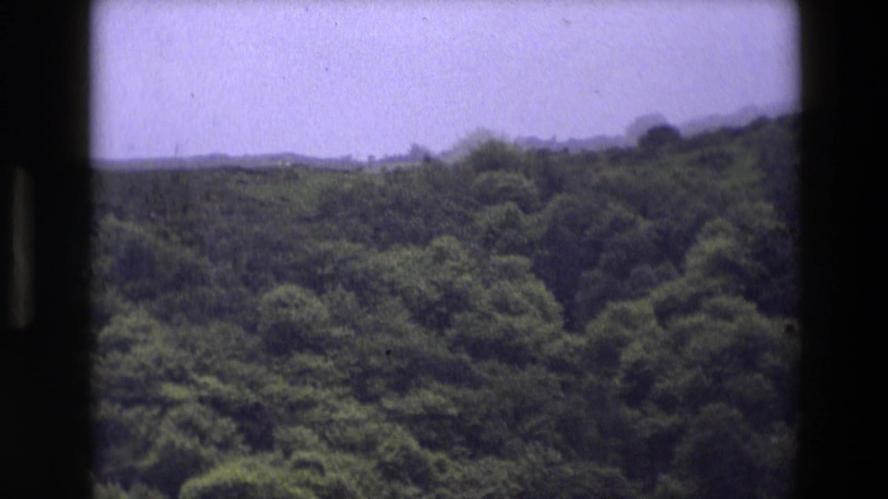 Wooded hillside beneath pale sky, framed by dark film edges.