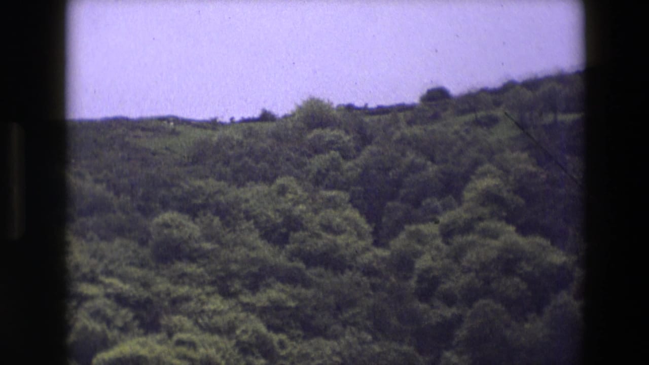Green hillside and treetops under a light blue sky.