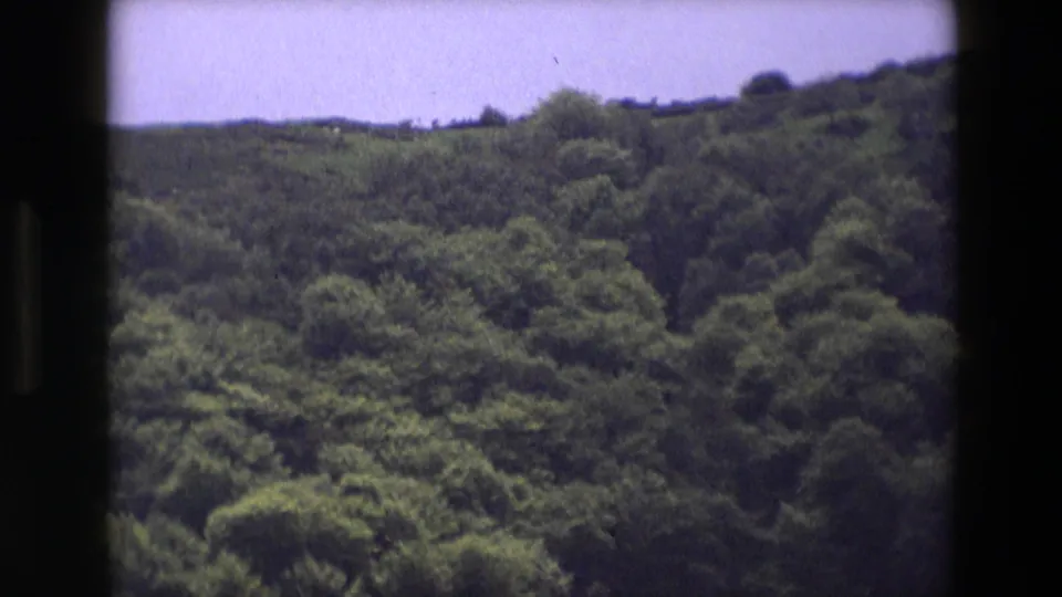 1969 England 8mm frame focused on dense green woodland with a hazy hill crest and pale sky beyond.