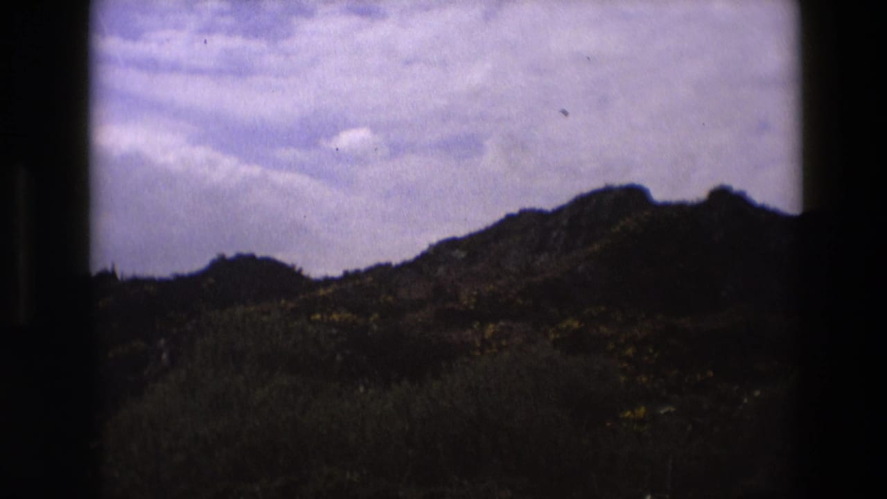 Low ridge and dark vegetation under a soft cloudy sky with visible film grain.