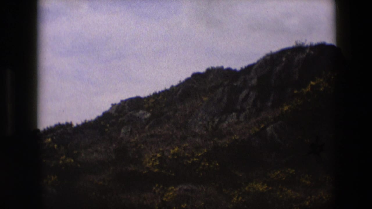 Rocky hillside with scrub and yellow flowers under a pale overcast sky.