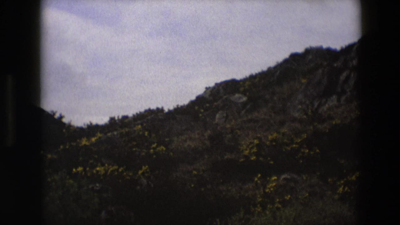 Rocky hillside and scrub plants under a pale cloudy sky.