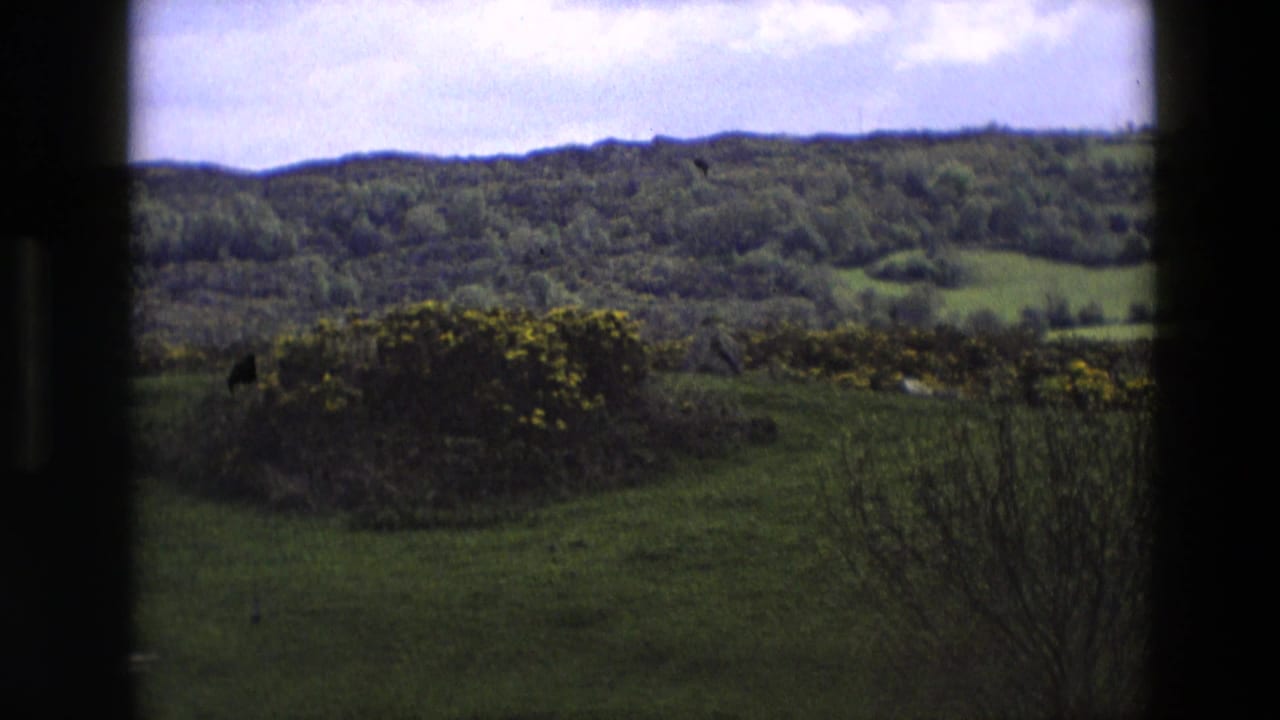 Rolling green hills and yellow gorse seen through a dark window-like frame.