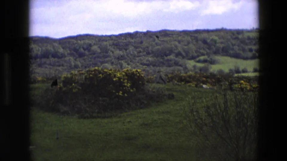 1969 8mm home-movie view in England showing green wooded hills, open fields, yellow gorse, and cloudy sky through a dark edge.