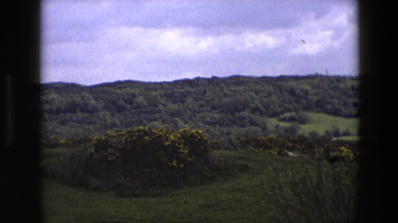 Wooded hills, green fields, yellow shrubs, and cloudy sky behind dark vertical edges.
