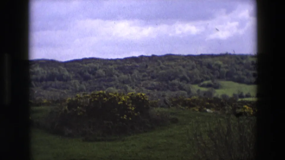 England countryside view from 1969 metadata with wooded ridges, patchwork green fields, yellow flowering gorse, and dark window framing.