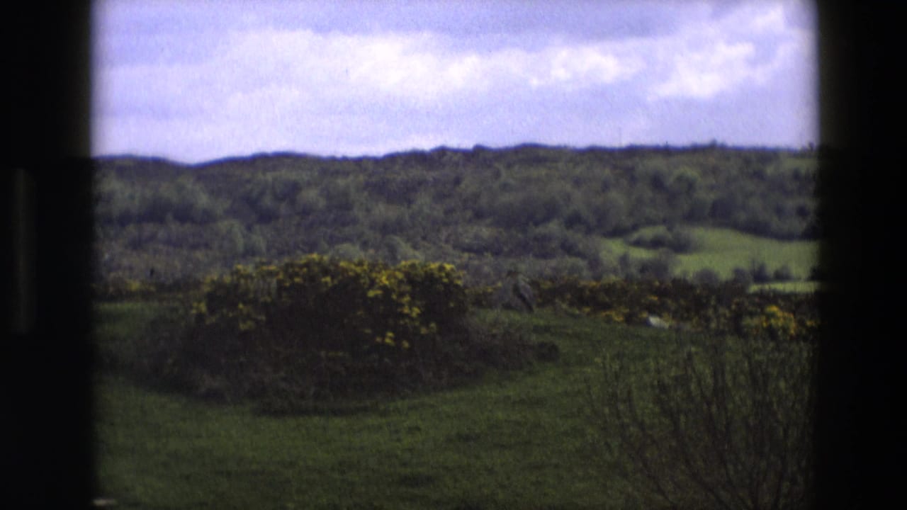 1969 England home-movie view of green countryside, wooded hills, and yellow flowering bushes through a window frame.