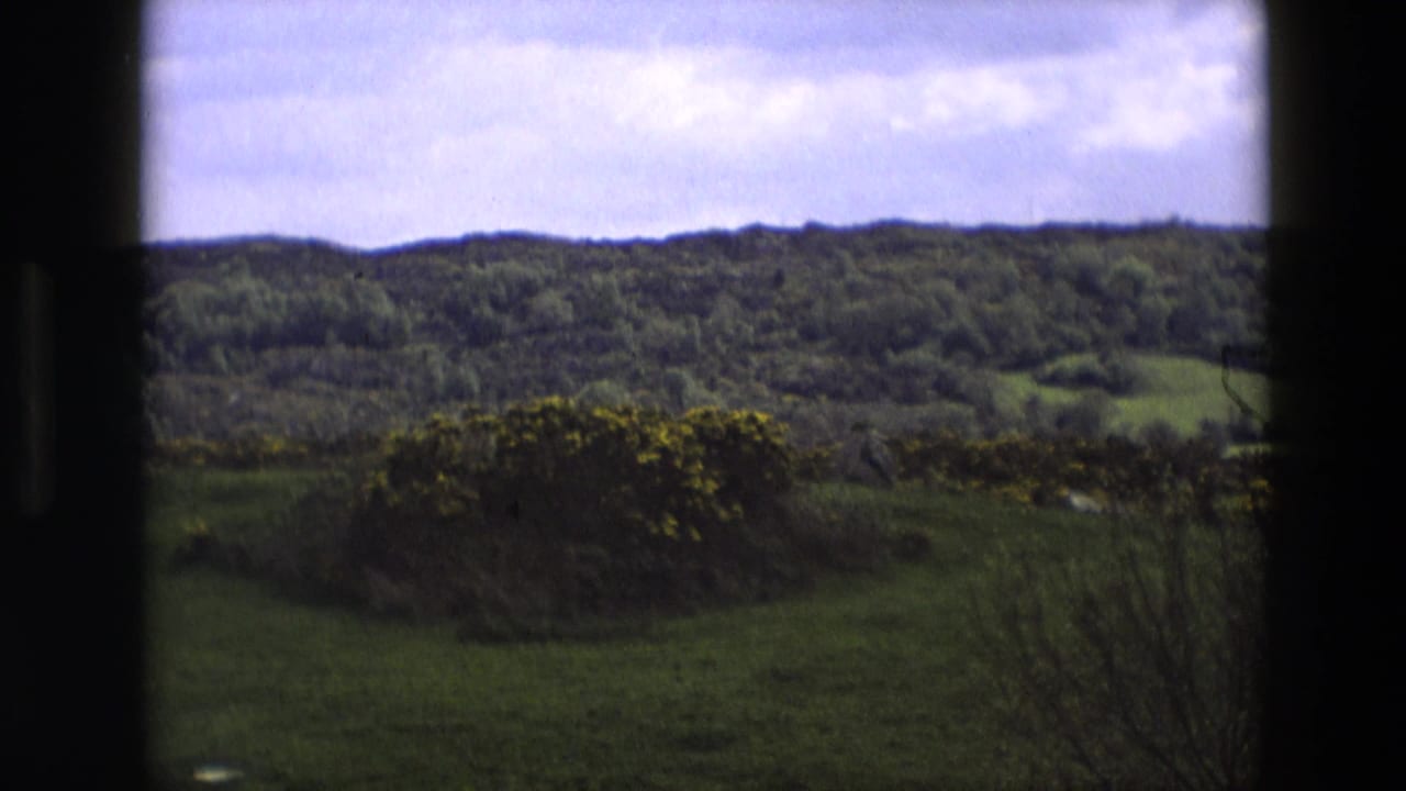 Rolling green countryside and yellow bushes viewed through a window.