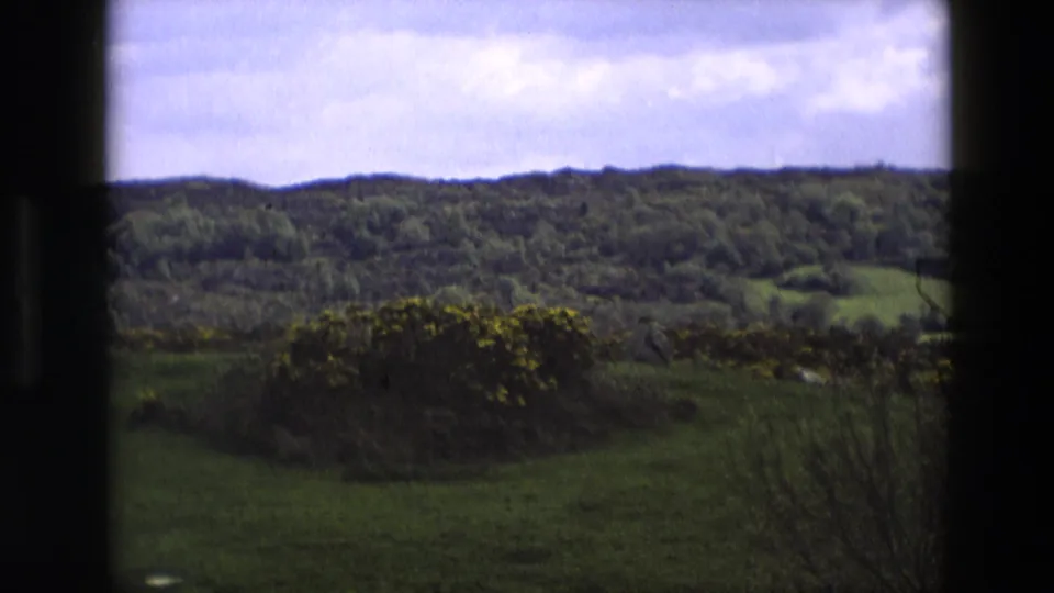 A 1969 England countryside view through window panes, with green fields, wooded slopes, and yellow flowering shrubs.