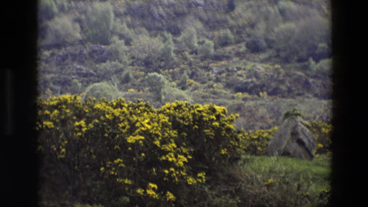 1969 England countryside frame with yellow gorse, rolling green hillside, and a weathered stone structure near the right edge.