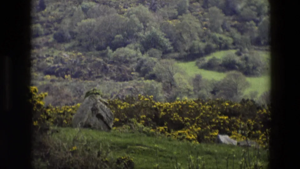 1969 England countryside view with a low stone structure, yellow gorse hedge, green hillside, and wooded background.