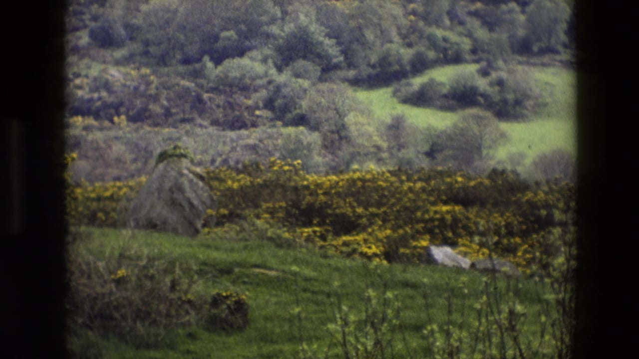 Rolling green hillside with yellow flowering shrubs seen through a dark window frame.