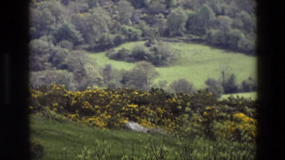 Window-framed 1969 England landscape with bright green fields, wooded slopes, yellow flowering hedgerow, and soft 8mm color grain.