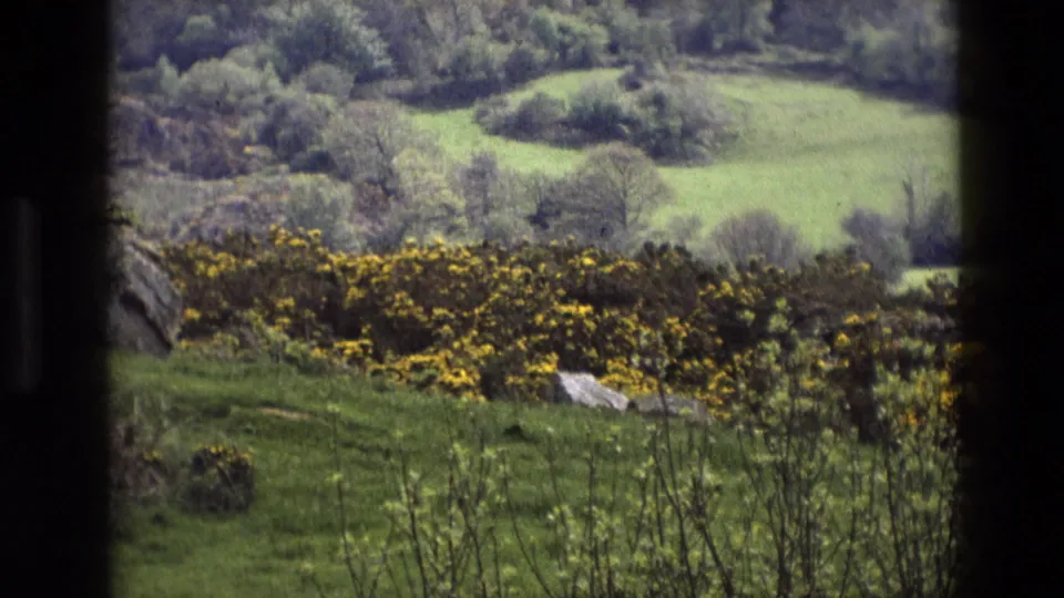 1969 English rural view with grass in the foreground, yellow gorse-like shrubs, pale stones, trees, and rolling green hills under soft film exposure.