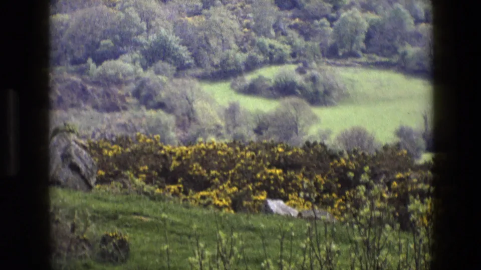 1969 England home-movie frame showing rural hills through a window, with yellow flowering shrubs, grass, scattered stones, trees, and visible 8mm grain.