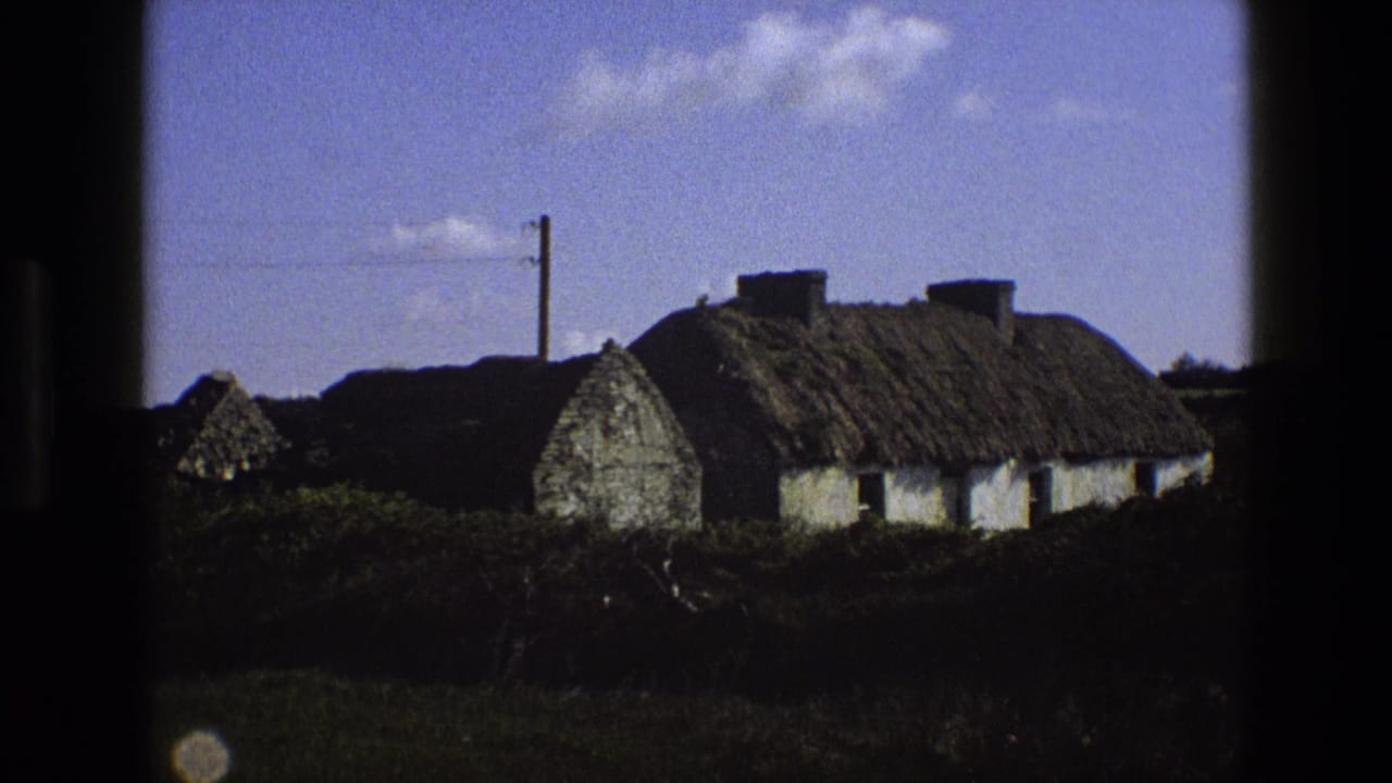 Whitewashed thatched-roof cottage behind hedges under a blue sky.