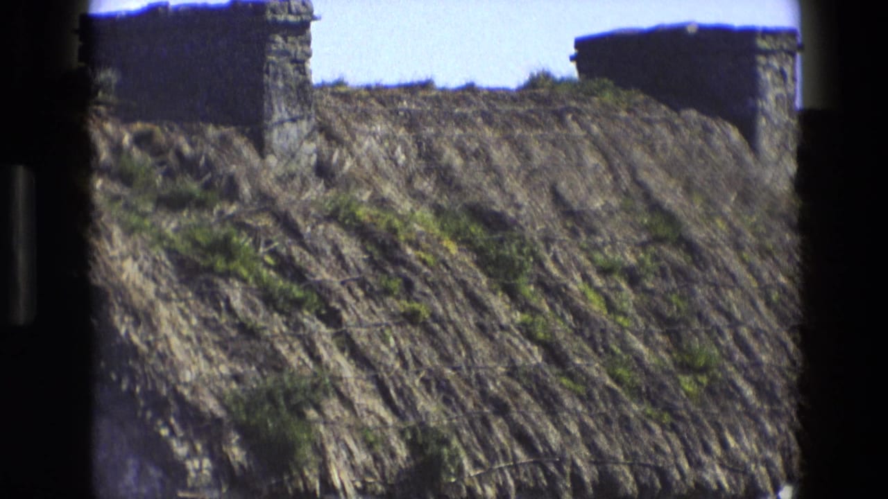Two stone chimneys rise above a weathered thatched roof.
