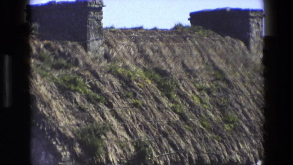 1969 England frame with two stone chimney stacks above textured thatch, with wire mesh and vegetation visible.