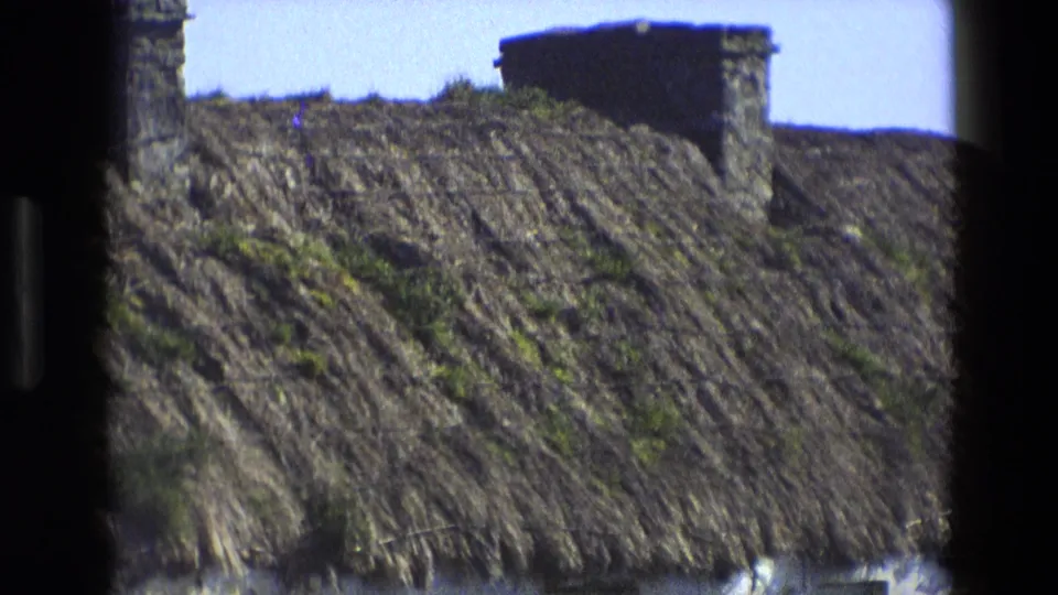 1969 England 8mm still focused on aged thatch, wire netting, green growth, and part of a stone chimney.