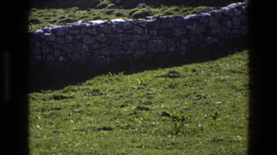 Lower view of the cottage scene shows the stone boundary wall, open grass, and the lower portion of whitewashed walls under thatch.