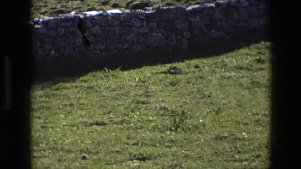 A final 8mm frame shows grass in the foreground, a stone wall, and whitewashed cottage walls under thatch, still partly dark-framed.