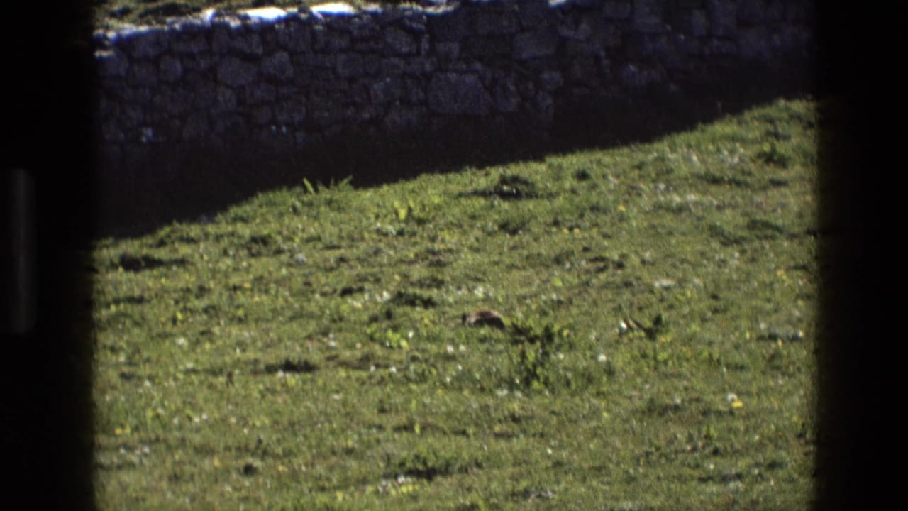 Sunlit grass slopes toward a low stone wall, framed by dark film gate edges.