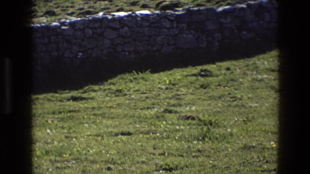 1969 England 8mm frame with green grass, a rough stone wall, and prominent dark gate-edge framing.
