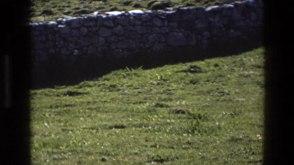 1969 England 8mm frame with green grass, a rough stone wall, and prominent dark gate-edge framing.