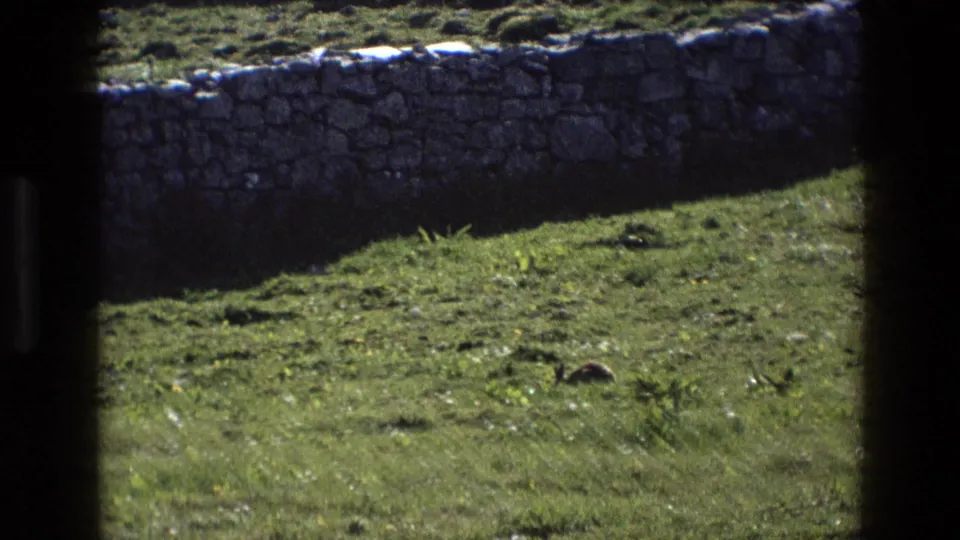 1969 England 8mm frame showing grass below a weathered stone wall, with dark borders from the film scan.